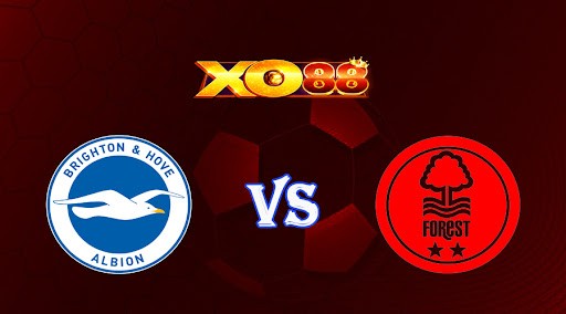 XO88 Nhận định soi kèo Brighton vs Nottingham 01h30 ngày 19/10/2022 - Ngoại Hạng Anh